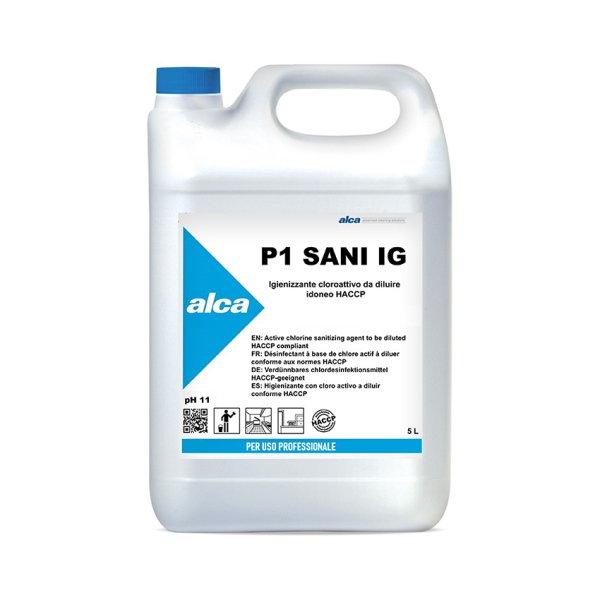 P1 Sani IG 5L - ALCA